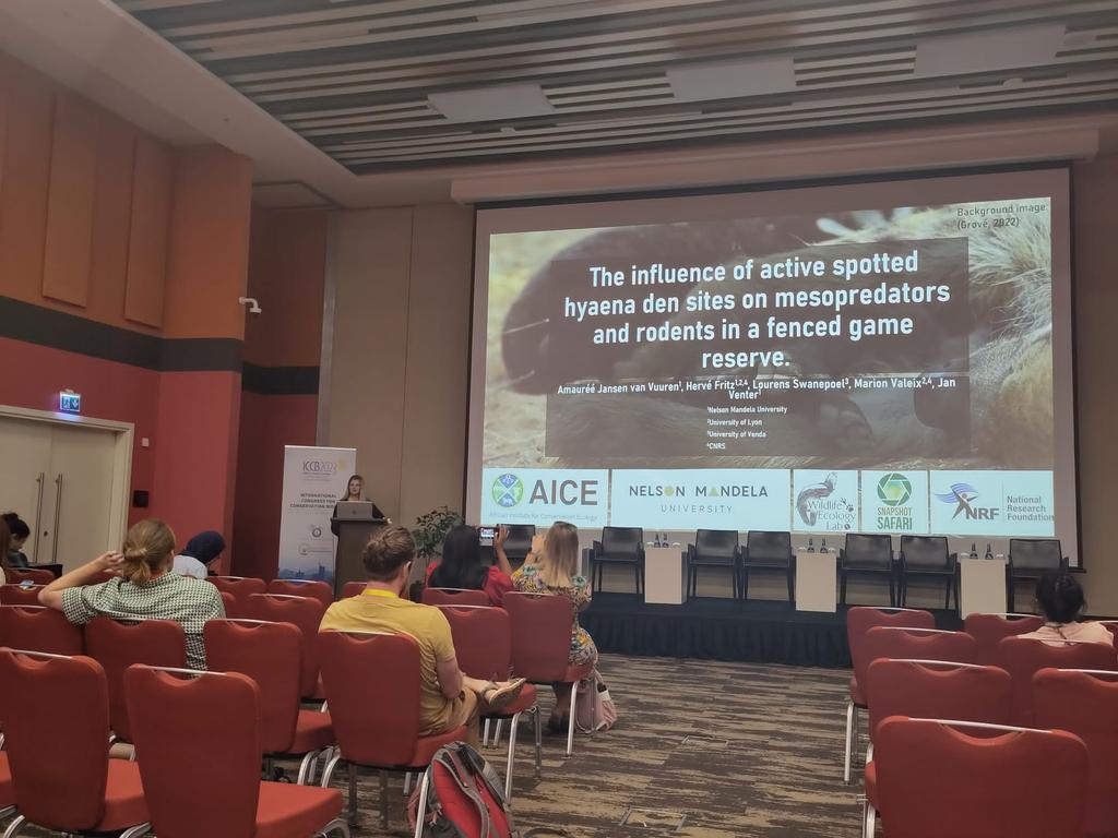 ajansenvv's tweet image. What an experience! Today I presented some of the work I have been doing related to my PhD project on the effects of hyaenas on other species in their surrounding environment🐾🐀