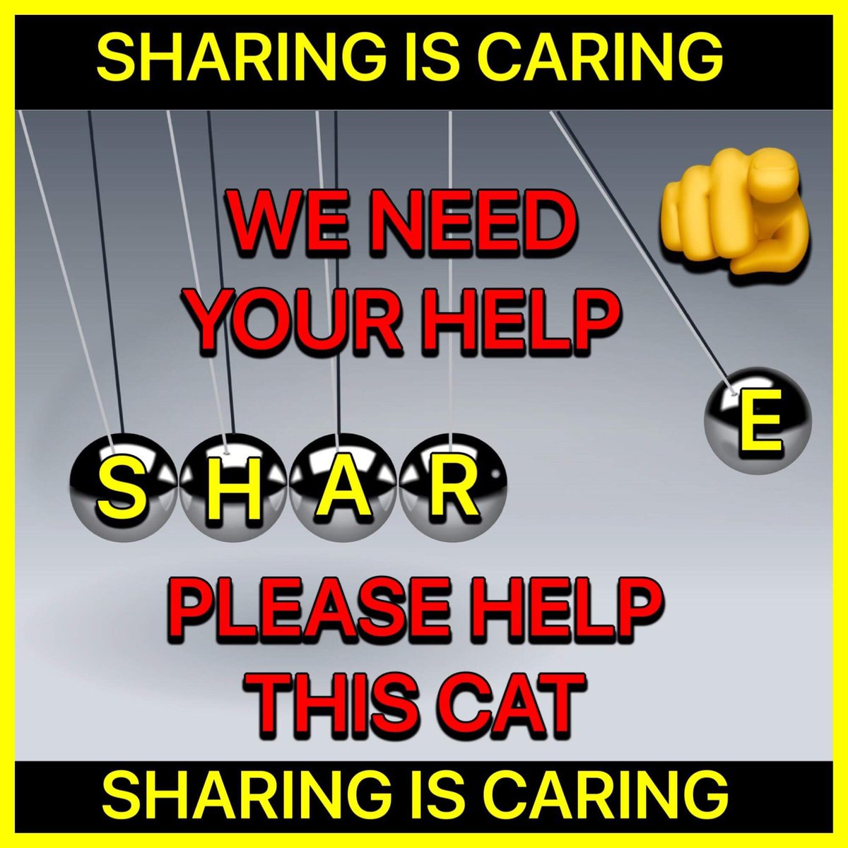 karensarah66's tweet photo. Cats go missing too π’ #LostDogsLive please help #FindNorma missing since 22/4/23 from Cookham, Berkshire SL6 #HelpMeHome ππ»πΎ @KarenFi51820768 @gelert01 @rosiedoc666 @MistKatten @CatsMissing @SarahMillican75 @MissingPetsGB @bs2510 @channel5_tv @clarebalding https://t.co/LrGClK2YaH