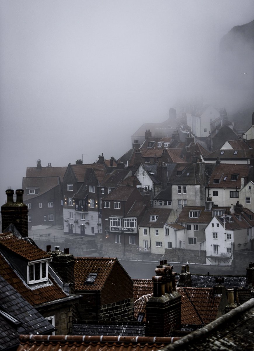 Beardzilla☼♠♣♥ tweet media