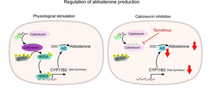 JCI insight tweet media