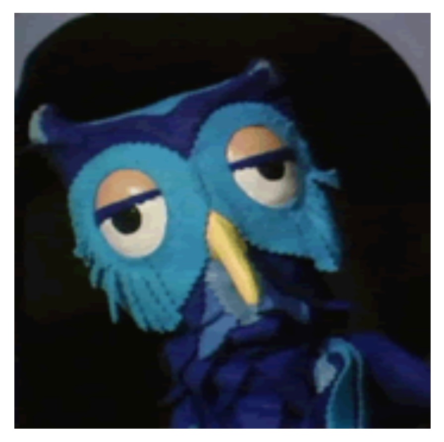 TheOrigHalfPint's tweet photo. Absolutely no one:
Elon: I’ve changed the Twitter bird logo to an X
X The Owl: Excuse me bitch, that’s MY name https://t.co/pXEOzY1yx4