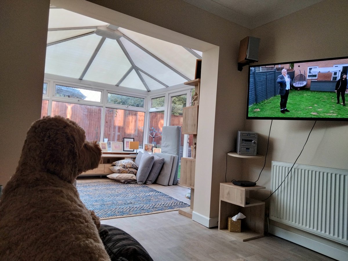 evans51067's tweet photo. @GraemeDogfather @channel5_tv Eric is enjoying 😁 #cockapoo https://t.co/EFdOpf7JhD