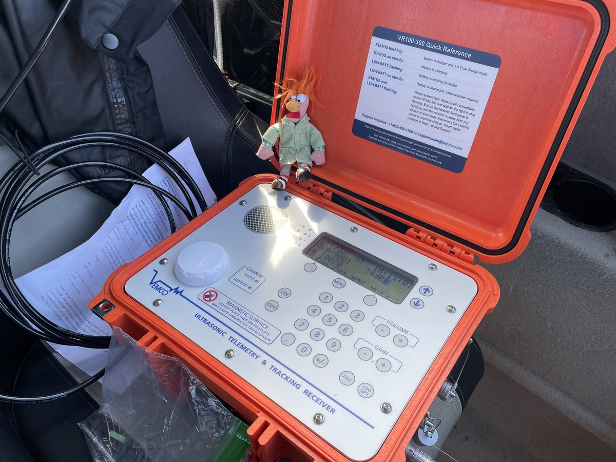 microKodi's tweet photo. Beaker found a couple acoustic tags that were deployed in 2019 &amp; 2021 https://t.co/h0JJGgp4ey