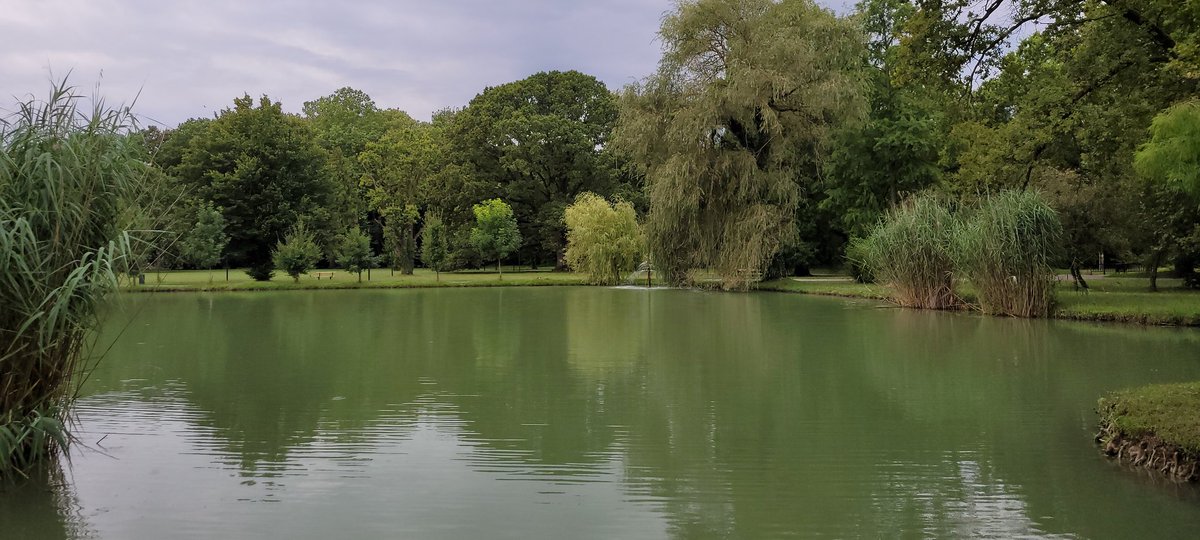 Zigetvar Kalesi yanındaki bu yeşili bol park cennetten bir köşe olmalı dedirtiyor.