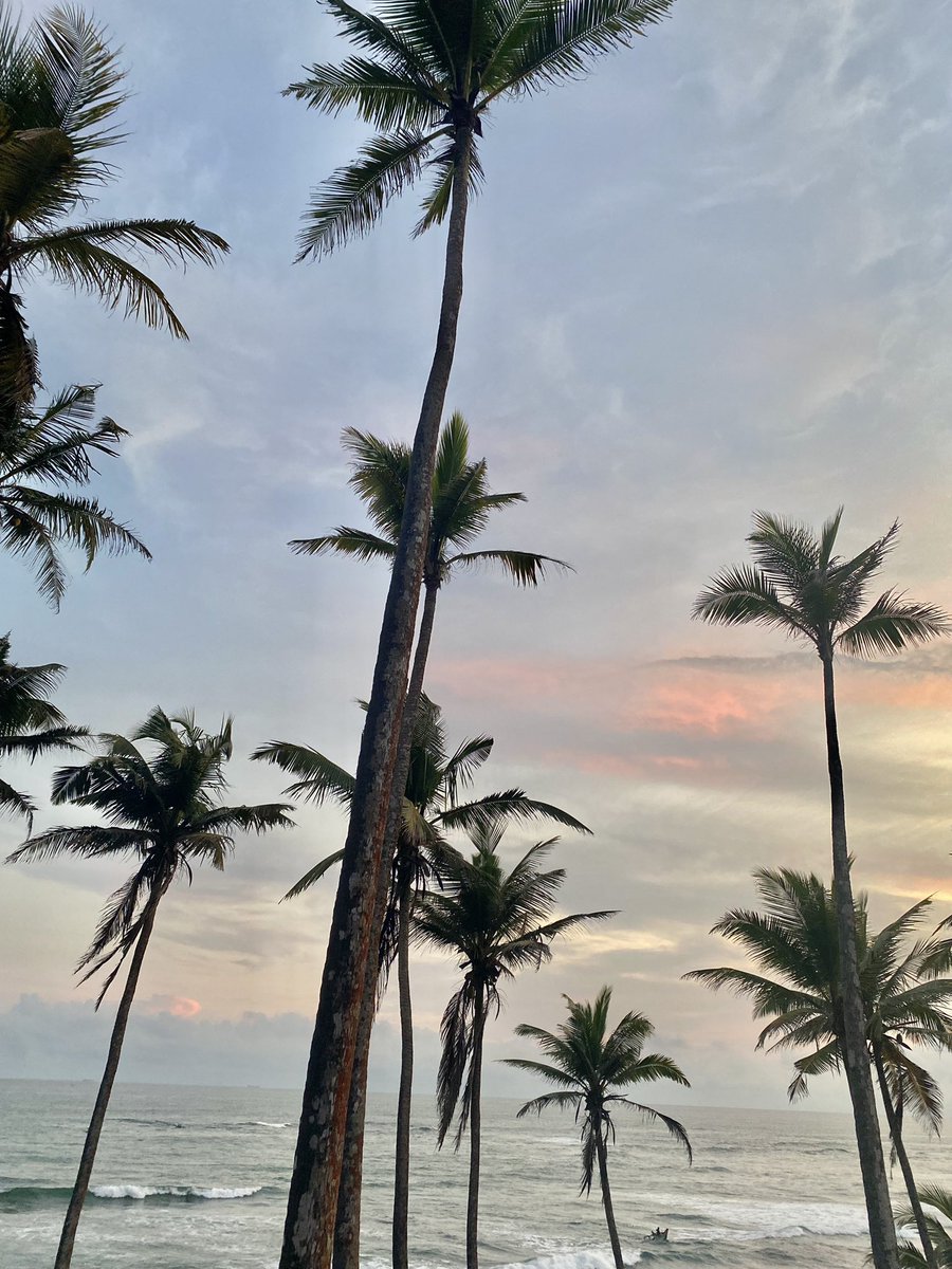 Sanali Kaushalya tweet media