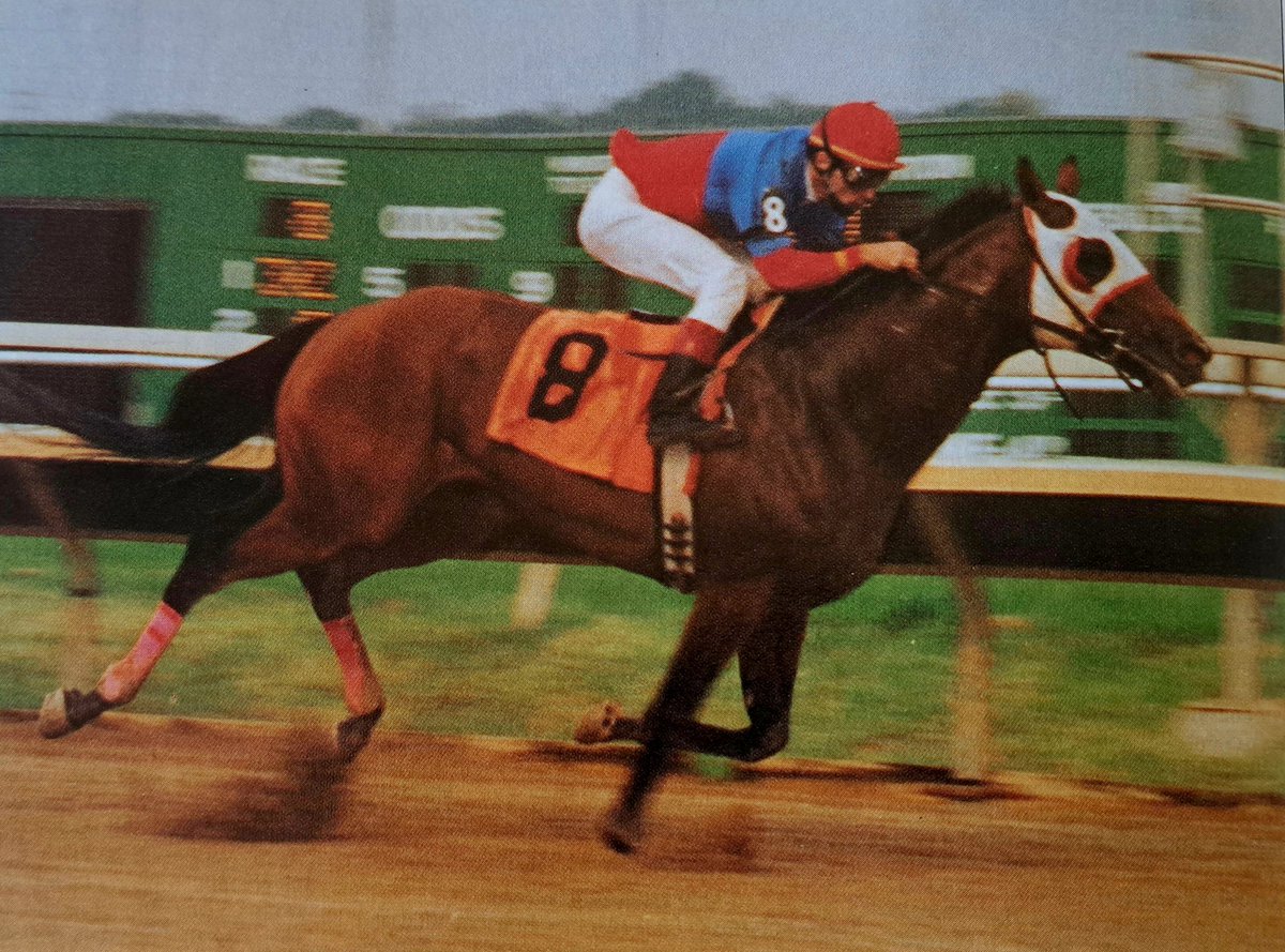 HORSERACING1002's tweet photo. SMART ALEC ๐บ๐ธ1988
(SMARTEN - KALIMERA BY LE HAAR)#SmartAlec
B/O Mrs Wylie F. L. Tuttle (Md) Apr 30, 1988.
T/ Richard W. Delp.
FTMMAY $18,000 RNA.
60-16-13-7---$629,998
Philadelphia Park Breeder's Cup G3, U. S. Air Maryland Sprint H, Challedon S, Housebuster H, Hoover S, https://t.co/AdjfaTAnDQ