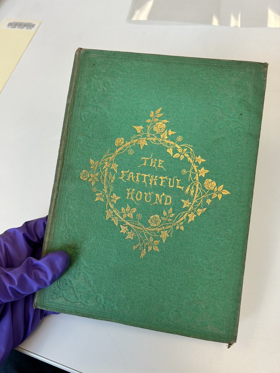 LMULibrary's tweet photo. Did you know toxic pigments were used in the 19th century to color book cloth? Researchers discovered these notorious tomes in 2020 and we have since added one to our Rare Books collection. Here’s Kim cataloging one of the #PoisonBooks for researchers at LMU. ⚠️💀📖 https://t.co/7yOUIPez4P