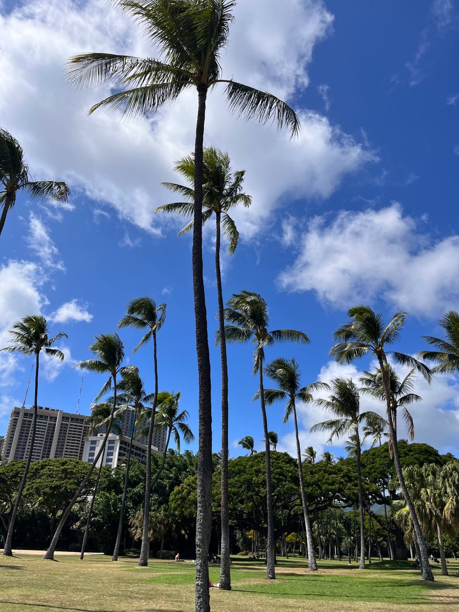 I'm in Hawaii for ICML! Let's meetup! 
I will be at the Frontiers4LCD workshop and the WiML unworkshop. Details below: