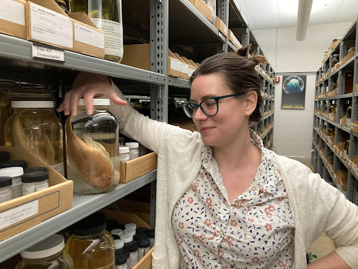 Genomics & Microbiology Research Lab tweet media