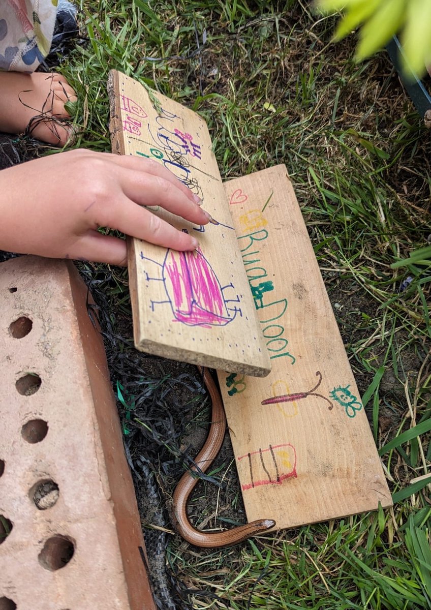 LittleRobinEdu1's tweet photo. Laura and her kids made the bug trap door from The Girl Who Loves Bugs activity booklet and found a slow worm under it!⁠ 
⁠
You can now get this past box as a one-off, but there's limited stock left!

https://t.co/jmGRT3Szhc https://t.co/m94uvsAGqg
