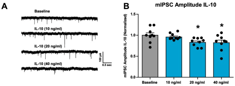JordanYorgason's tweet photo. This excitatory effect is due to postsynaptic decreases in inhibitory currents. https://t.co/cZlhH5YPML