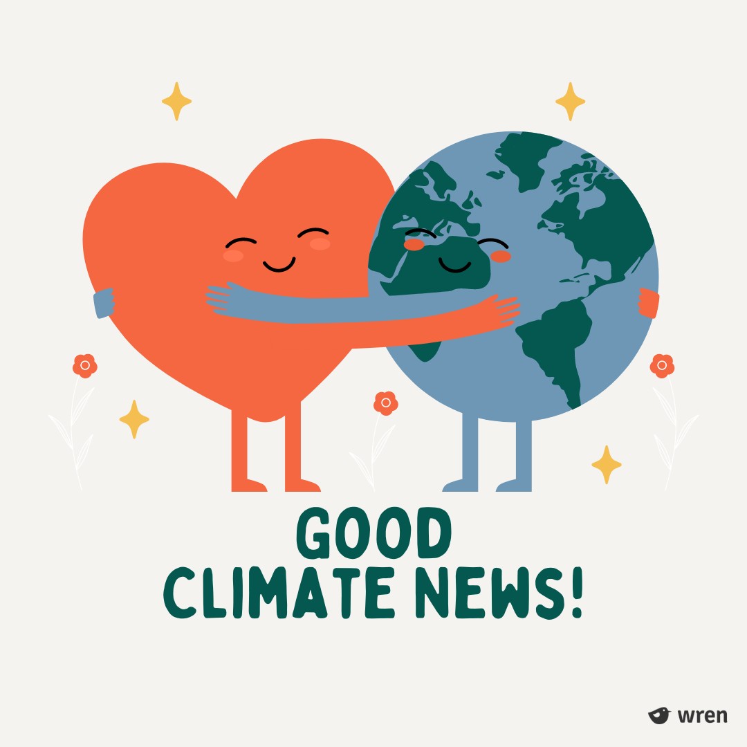 Wren 🌱🍉 tweet media