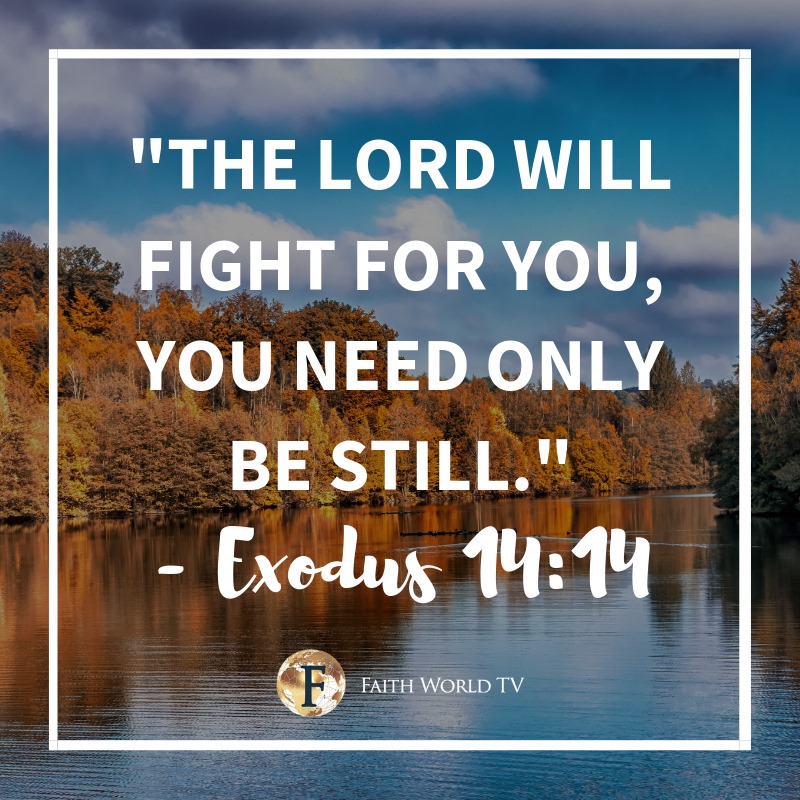 Faithworldtv's tweet photo. Inspiring words from Exodus 14:14 

#Christian  #Bible #faithworldtv https://t.co/j73o0tyWDv
