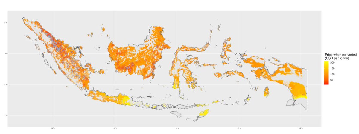 It is well recognized that oil palm is a major driver of tropical deforestation.🌴 Lim et al shared that market feedbacks to #oilpalm intensification could increase this deforestation, which would have devastating effects on #biodiversity.

#conservation #science #palmoil