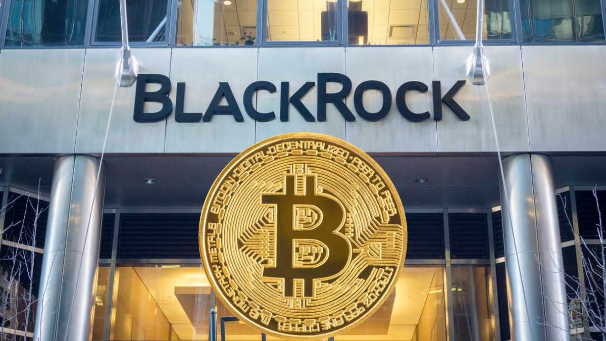 ⚡️ TREMENDO ⚡️ Según BlackRock, el fondo de inversión mas grande del mundo, la ASIGNACIÓN ÓPTIMA en una CARTERA de INVERSIÓN es tener el 84,9% en #BITCOIN 😻