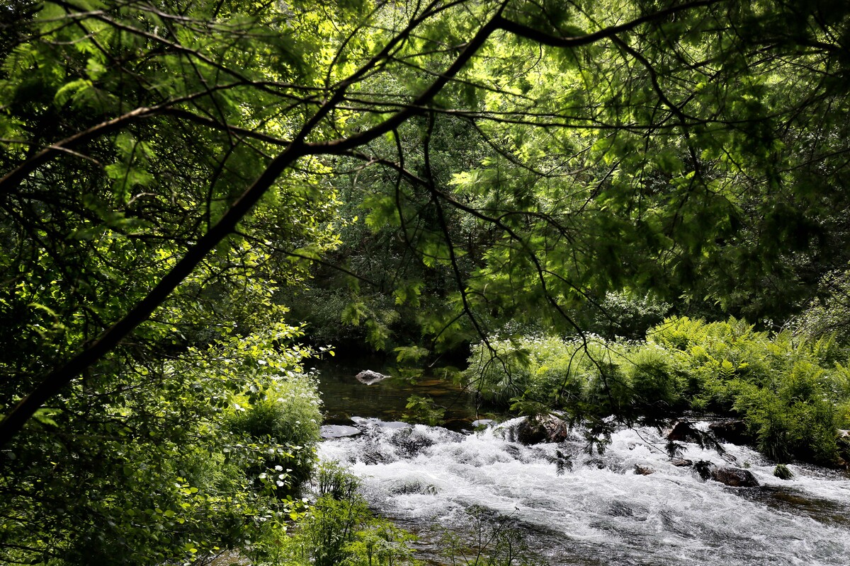 O concello de #CampoLameiro, coñecido como capital da arte rupestre en Galicia, conta ademais co recoñecemento a nivel nacional como mellor destino de turismo rural do 2023. Visítao este verán 😉

#CapitaldelTurismoRural

#OrixeRíasBaixas #RíasBaixas