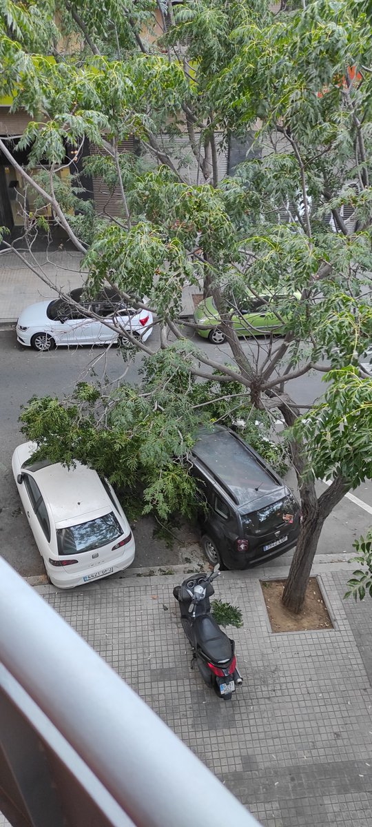 LoidadelBa's tweet photo. Un cop d'aire! Feia 5 minuts passàvem per aquest pas de zebra. Acollonant el catacrec.
@bcn_ajuntament 
@ParcsiJardins 
@AEF_Urbanisme https://t.co/BwCq8UCBrg