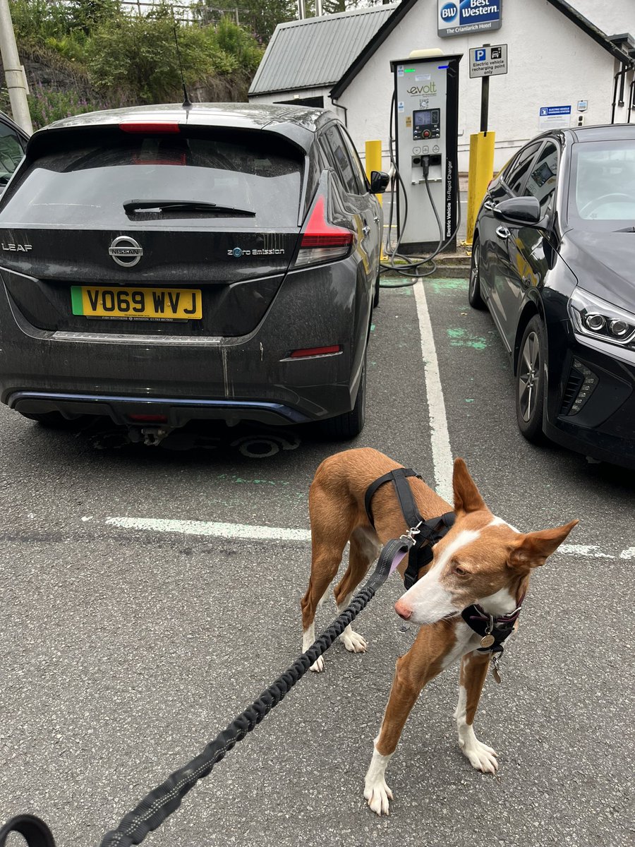 Merlin and I are away for a few days on our holidays- we stopped to charge at this older @SWARCO_Charging charger and it worked a treat. Anyone recognise where we are? #Chogging #dogsatchargers