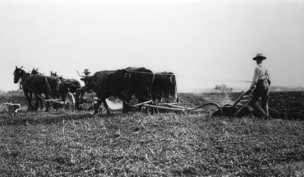 The History of AgTech in Chicago is an interesting one.

AgTech happens to be one of our largest industries, taking up 10% of our overall economy. 🚜

Quick thread 🧵 👇🏽