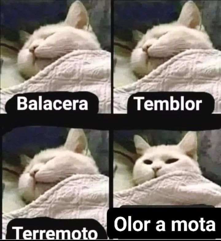mambito420's tweet photo. Yo durmiendo https://t.co/pHYqCgJ6DW