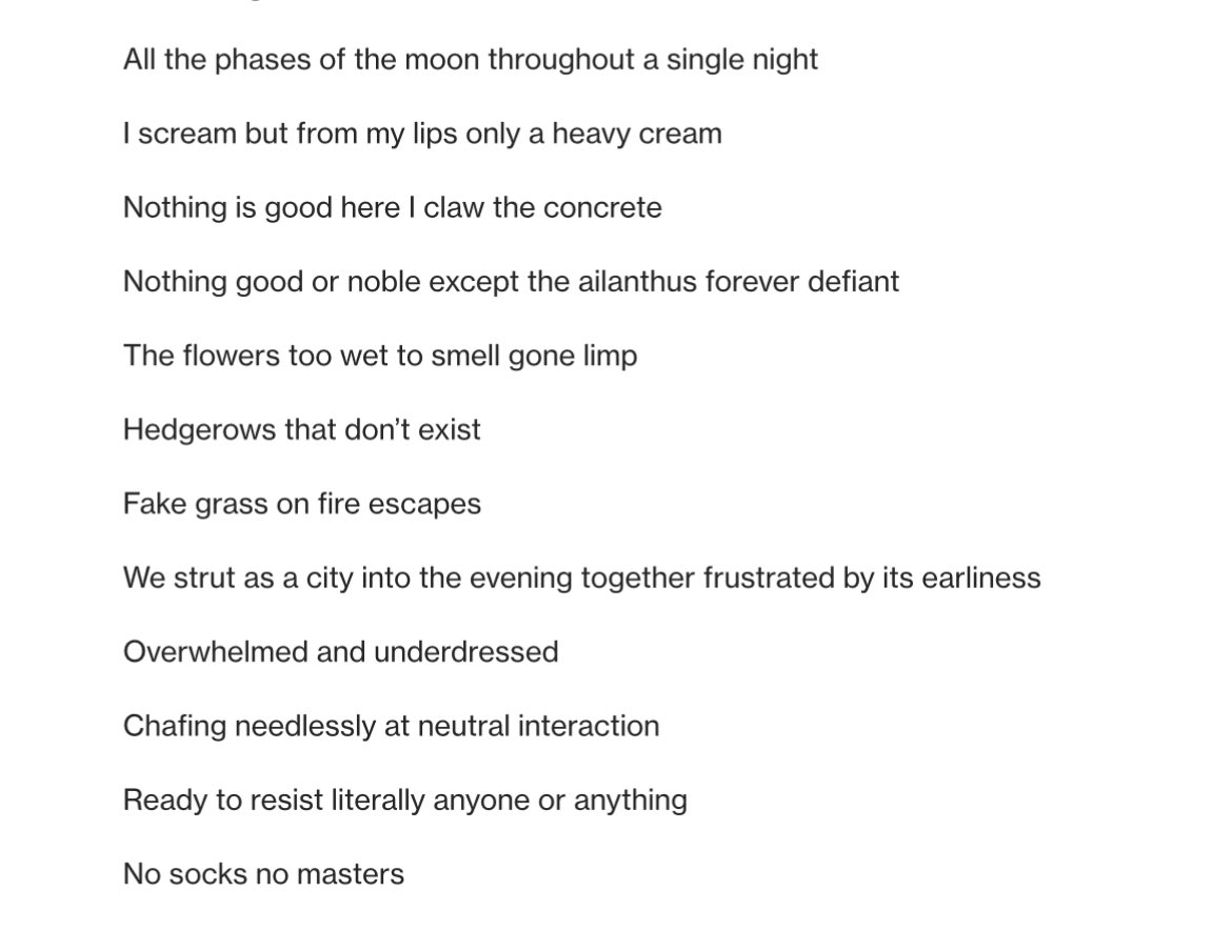 Chase Berggrun from issue 2 of <a href="/copenhagen_lit/">Copenhagen</a>