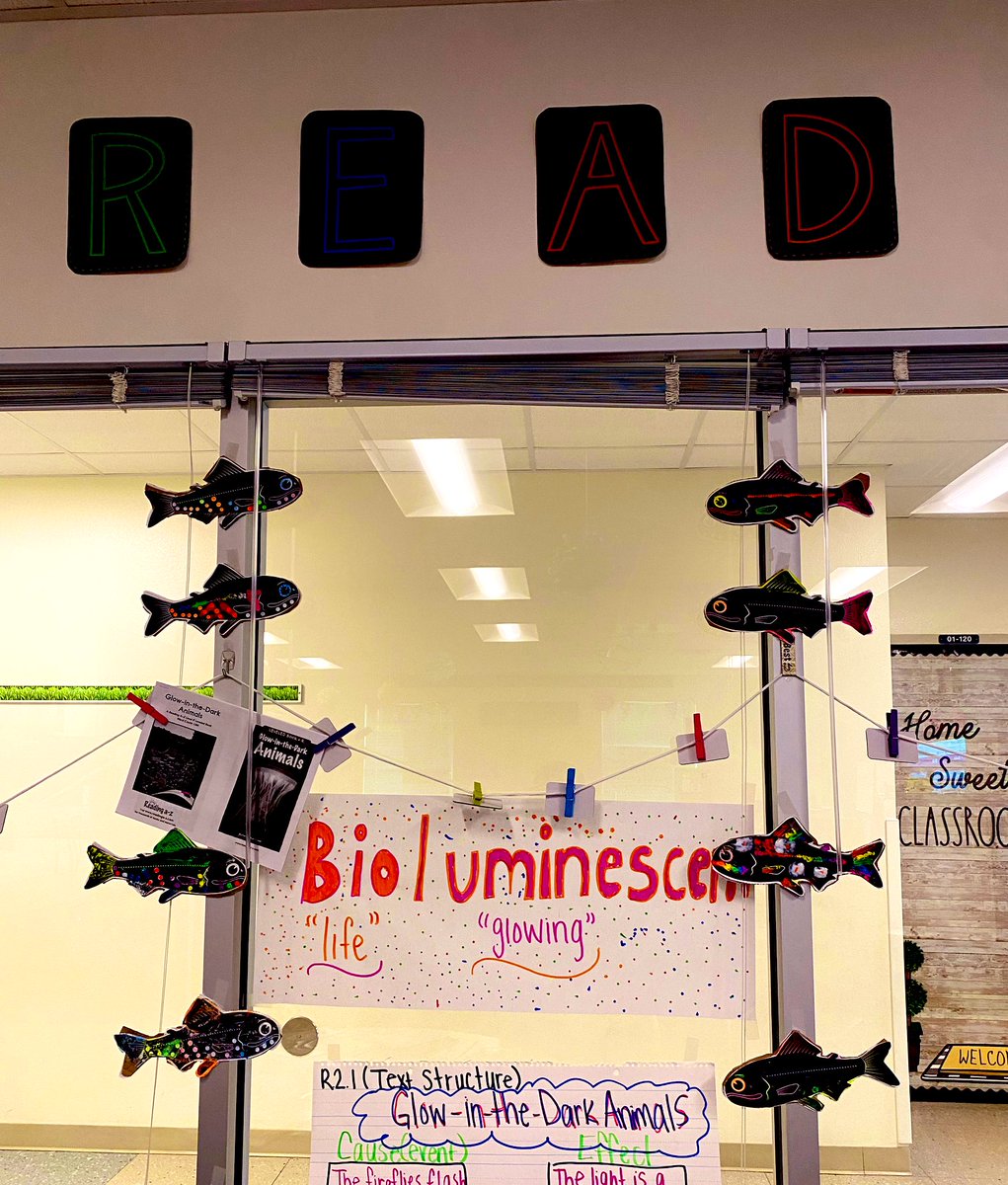JasminFelix9's tweet photo. Mini STEM/STEAM activity with last weeks reading:
Glow-in-the-Dark Animals 🐠 🪼 🌊  #readingcamp #3rdgrade #teammcinnis #vcsschools #vcsteachers #volusiaSTEM #summerschool #bioluminescent https://t.co/xxbTtnIQQi