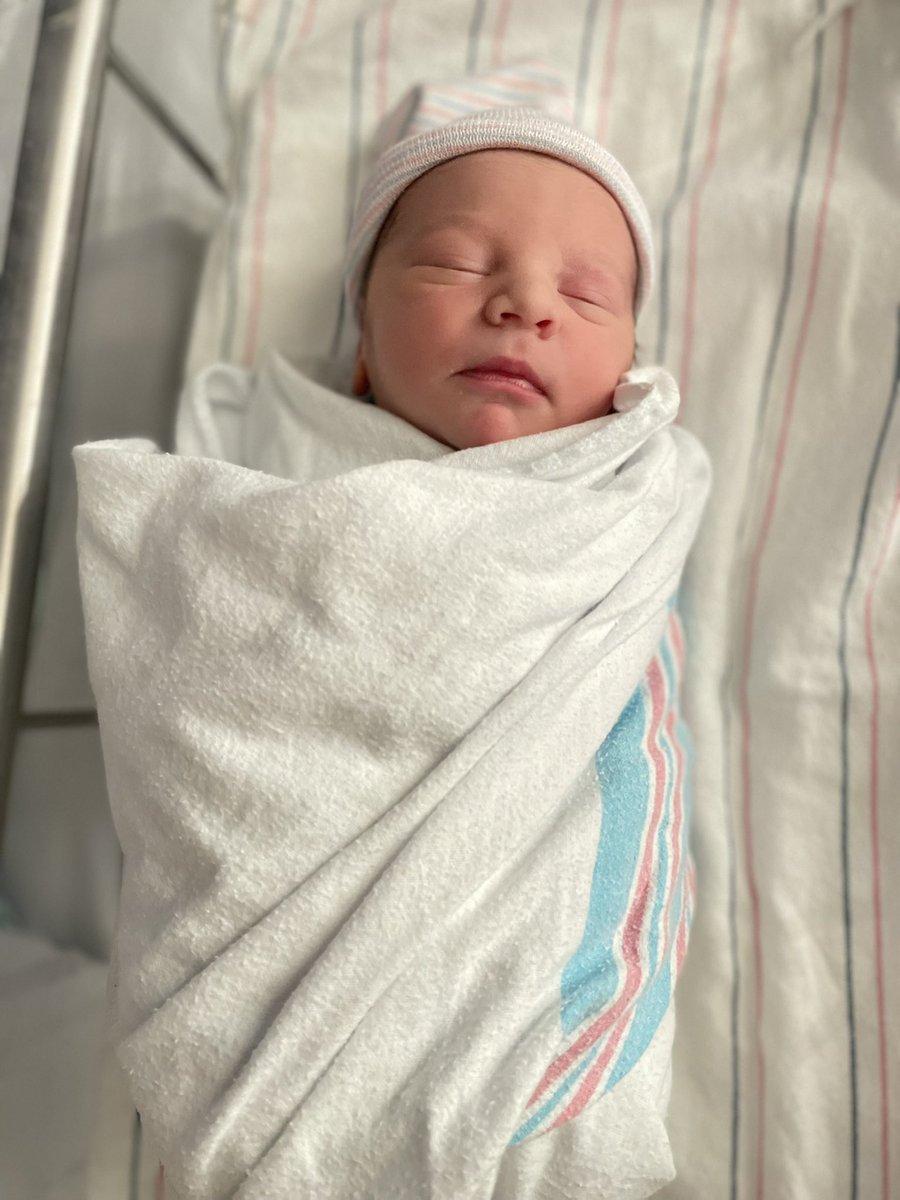 Kathleen Quillian tweet media