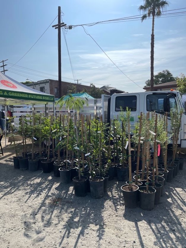 Thank you to everyone that joined us this past Sat in #BoyleHeights for our tree adoption giveaway. We were able to give more than 100 trees to community residents. The adoption was made possible in collaboration with <a href="/CityPlants/">City Plants</a>, <a href="/LACorps/">LA ConservationCorps</a>, <a href="/LADWP/">LADWP</a>, <a href="/USGBCLA/">USGBC-LA</a>, &amp; the <a href="/theBHACla/">theBHAC</a>.