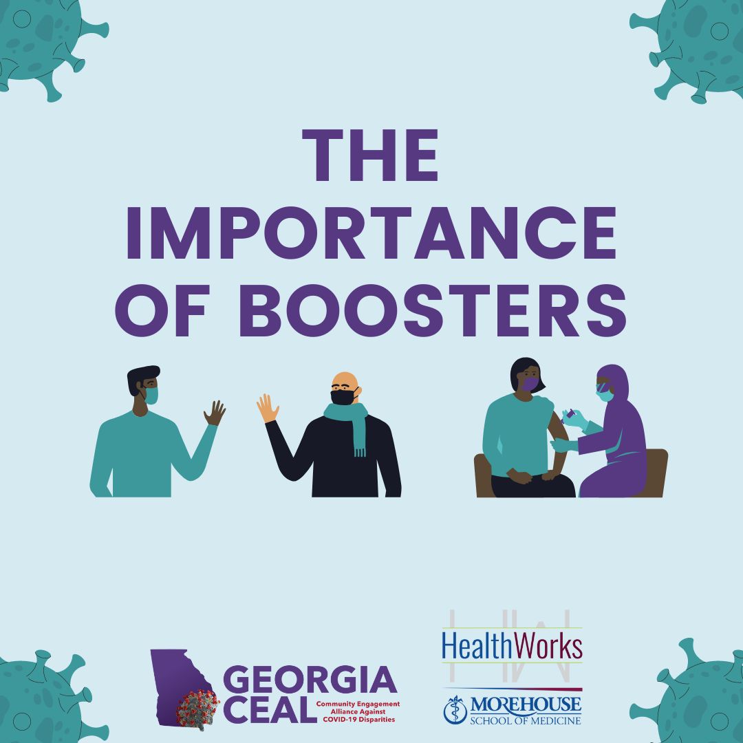 GEORGIA CEAL tweet media