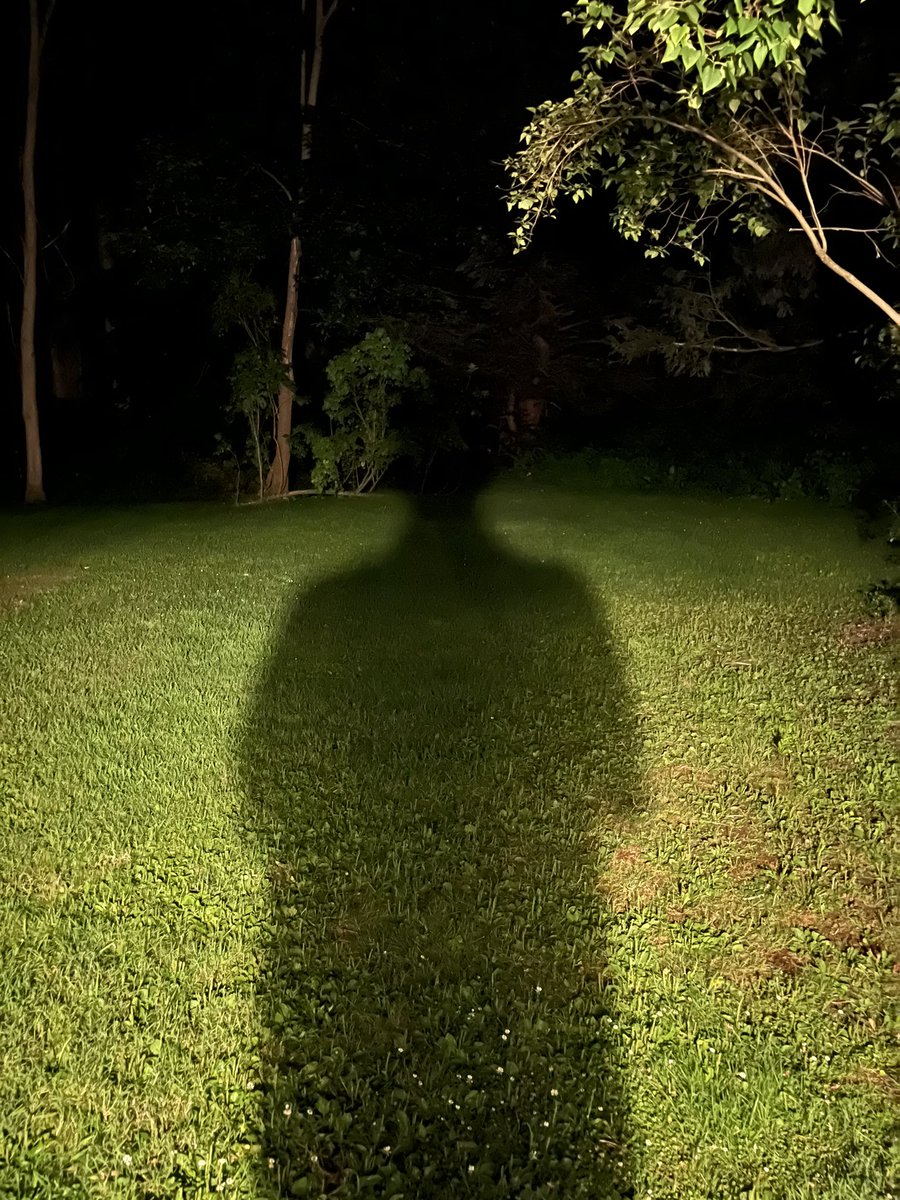 Cory Rice (@cory__rice) on Twitter photo 