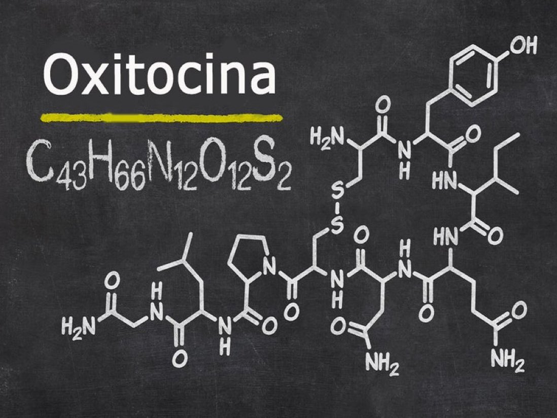 RomanCastroRod1's tweet photo. LA QUÍMICA DEL AMOR

El amor está compuesto por Dopamina + Serotonina + oxitocina. Es decir que el amor puede ser 'producido' en un laboratorio fácil.

Sin embargo, la sobredosis de alguna de esas hormonas puede derivar en esquizofrenia, paranoia y varios trastornos mentales más. https://t.co/A4dynPdlm0