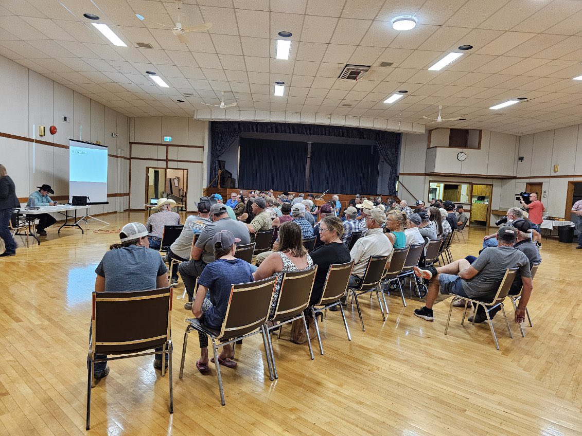 Sask Beef tweet media