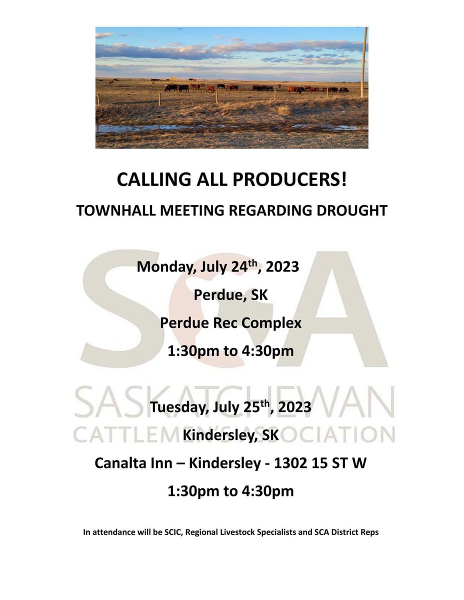 Sask Beef tweet media