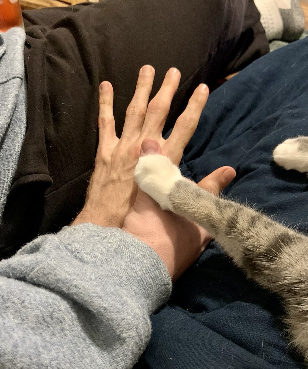 Jonathan Edward Durham tweet media