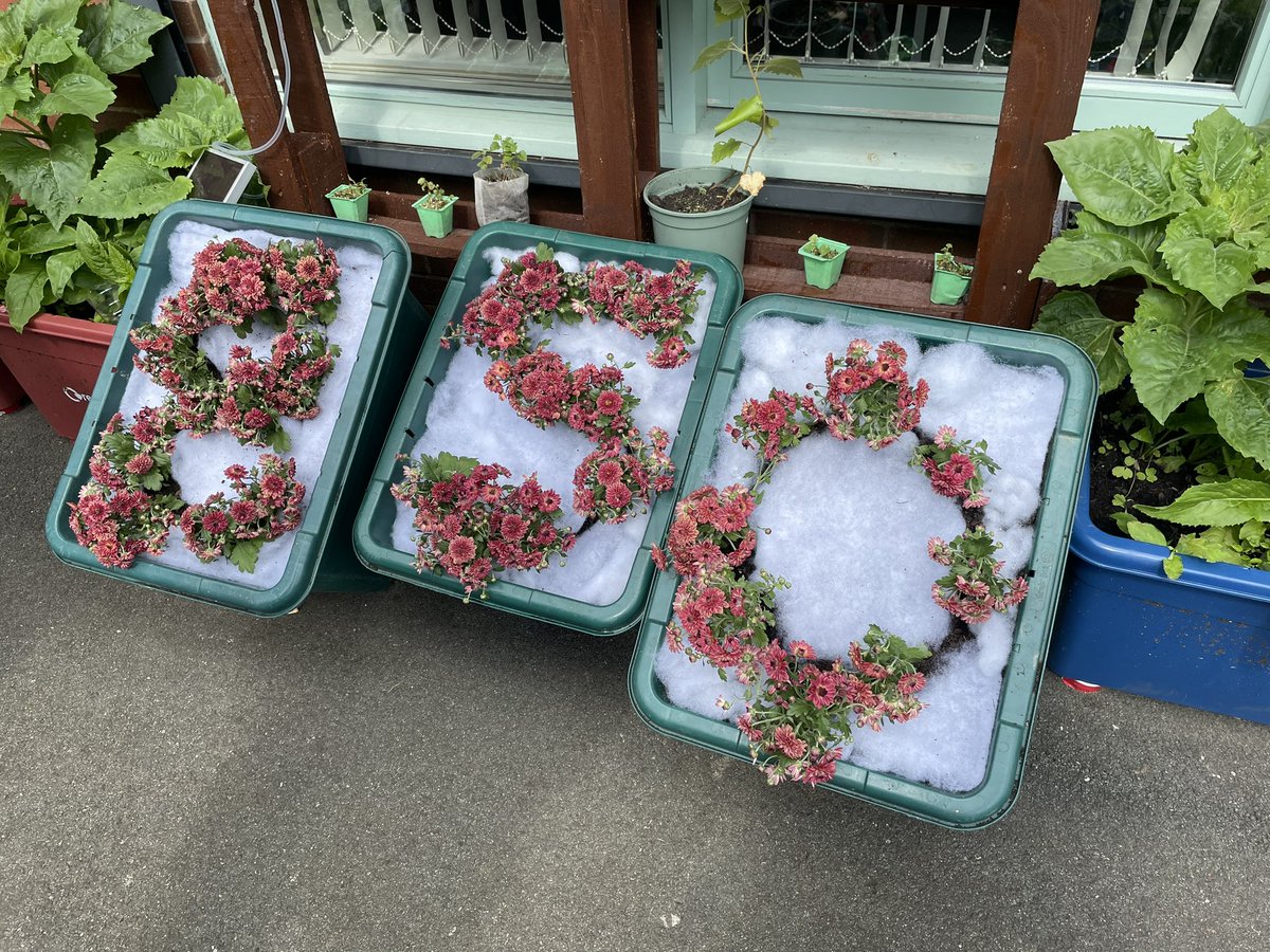 NBC_GreenTeam's tweet photo. Newcastle -under- Lyme’s 850th anniversary of the Royal Charter was certainly celebrated in bloomin’ style today when we had the honour of visiting some of our finest Community Gardens #newcastle850 https://t.co/KT8VG0JjnJ