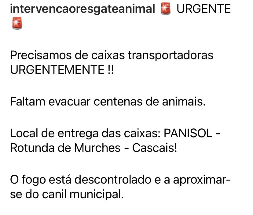 🌈AgathaTriste😻Lady tweet media