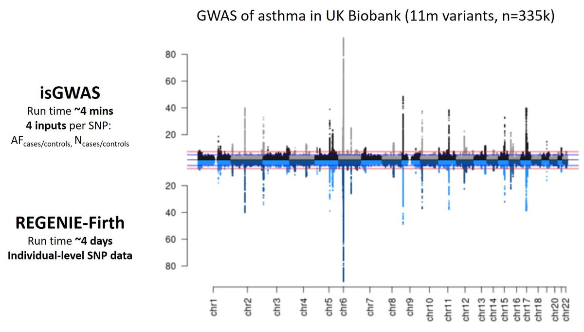 Case-control GWAS on 11m variants in 335k people in <4 mins using ONLY summary-level data! Check out our isGWAS @biorxivpreprint at biorxiv.org/content/10.110… - large multi GWAS now accessible to all! Made possible with @MarioniGroup @heikorunz @ZhanaKuncheva & Chris Foley!