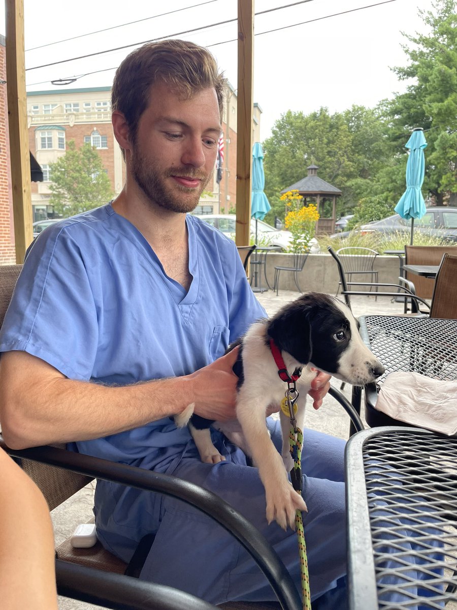 Saint Louis University Urology Residency Program tweet media