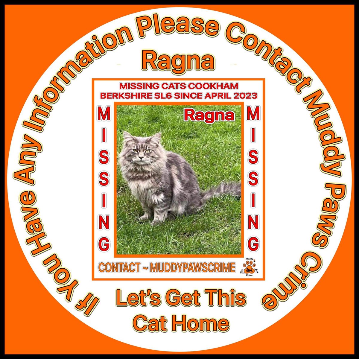 karensarah66's tweet photo. Cats go missing too π’ #LostDogsLive please help #Ragnar missing since 22/4/23 from Cookham, Berkshire SL6 #HelpMeHome ππ»πΎ @KarenFi51820768 @gelert01 @rosiedoc666 @MistKatten @CatsMissing @SarahMillican75 @MissingPetsGB @bs2510 @channel5_tv @clarebalding https://t.co/xQEocVgGaz