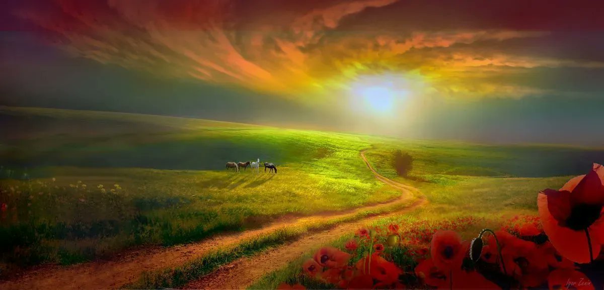 noveliciouss's tweet photo. For me, writing is exploration; and most of the time, I'm surprised where the journey takes me.
JackDann
#writing #acting #film #writerslife https://t.co/SCv09plaAy