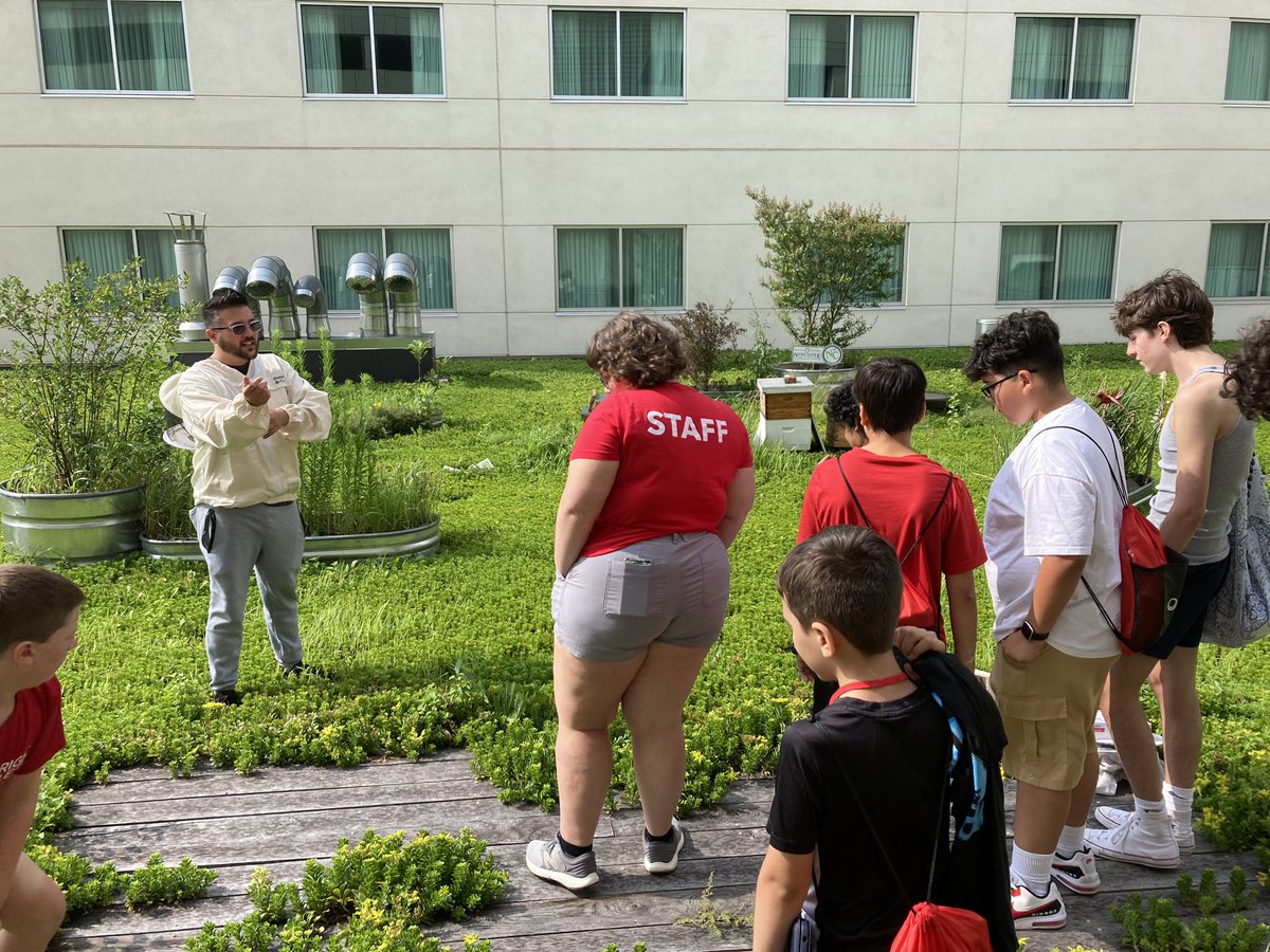 rhoste76's tweet image. Had a great time learning about beekeeping on the roof of the Doubletree as part of the TExpL summer camp. @MrsPeterson231 #wilsonsd #TExpL @stoudt_stacey @ChrisTrickett24