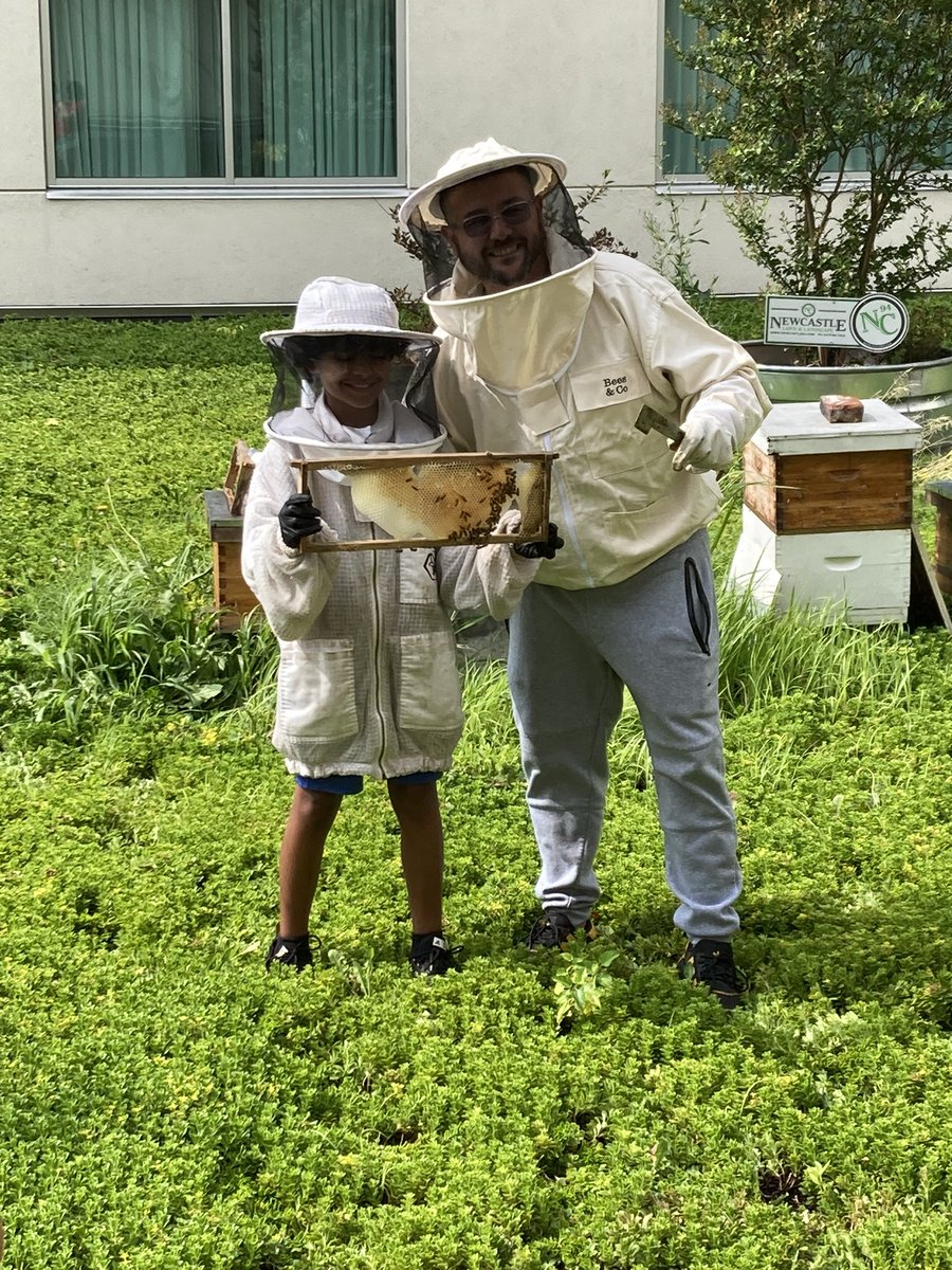 rhoste76's tweet image. Had a great time learning about beekeeping on the roof of the Doubletree as part of the TExpL summer camp. @MrsPeterson231 #wilsonsd #TExpL @stoudt_stacey @ChrisTrickett24
