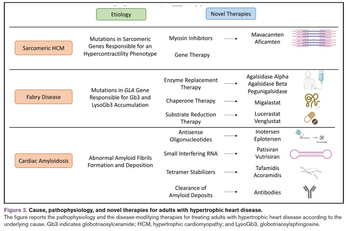 Targeted Therapies in Pediatric and Adult Patients With Hypertrophic Heart Disease: From Molecular Pathophysiology to Personalized Medicine

@CircHF 

ahajournals.org/doi/10.1161/CI…