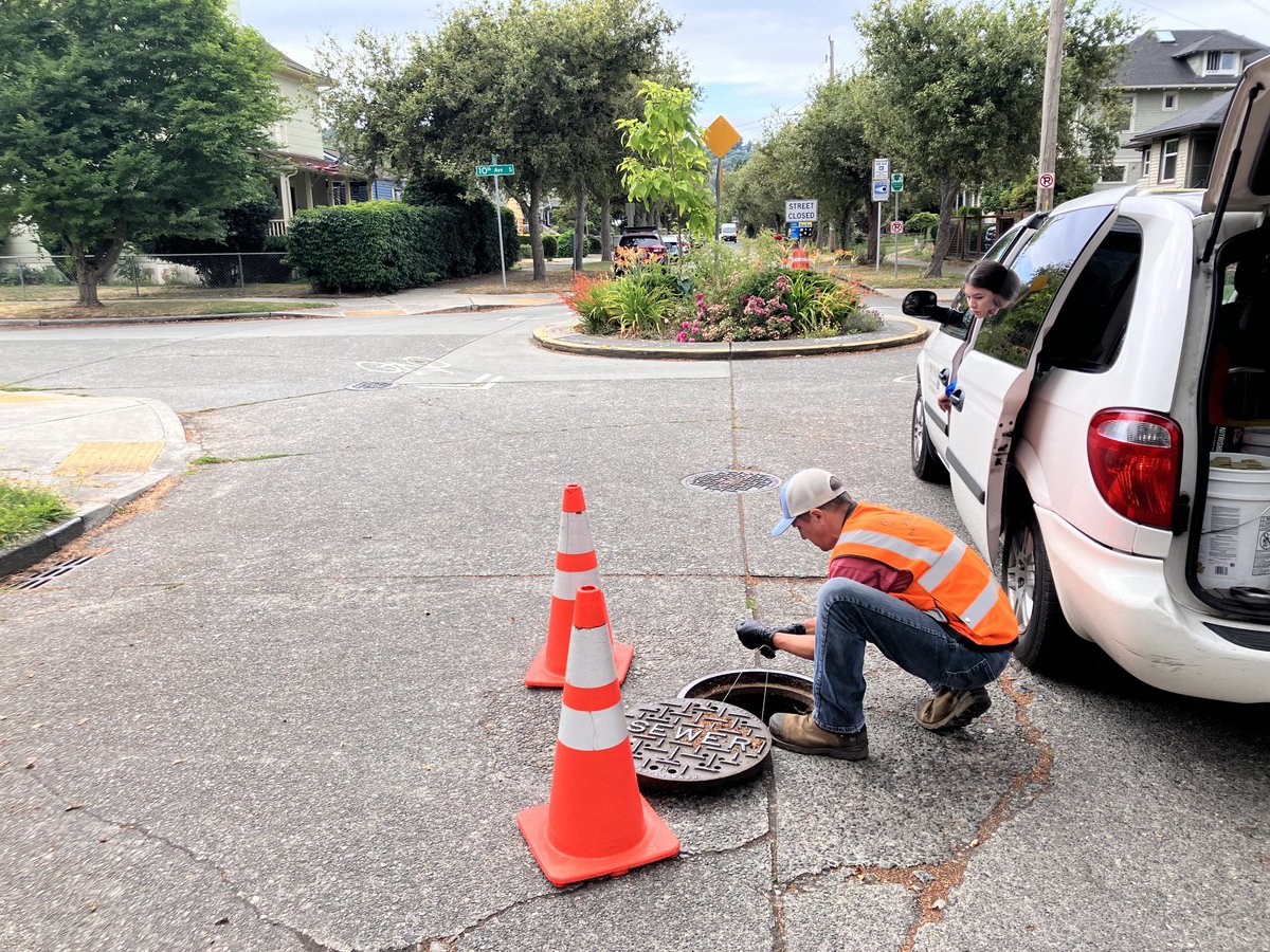 Important rodent control &amp; public education efforts going on in Seattle, which has a lot of social + ecological variables intersecting w/ rat biology. (1) alley w/ old building stock (2) rat entry points (3) fresh droppings on sewer shelf (4) checking bait for rat consumption