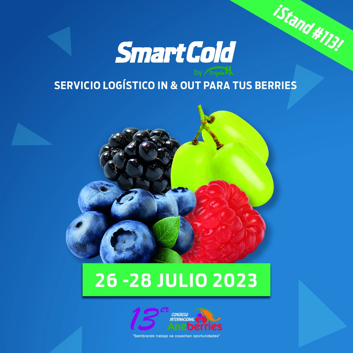 SmartCold_US's tweet photo. From reception to delivery, we take care of every detail  🔎  to ensure that your berries 🫐 flow smoothly without any hurdles. See you tomorrow at @aneberriesmx on stand #113!

#SmartCold #Aneberries #FreshProduce #ColdStorage https://t.co/uKDj61JJ9B