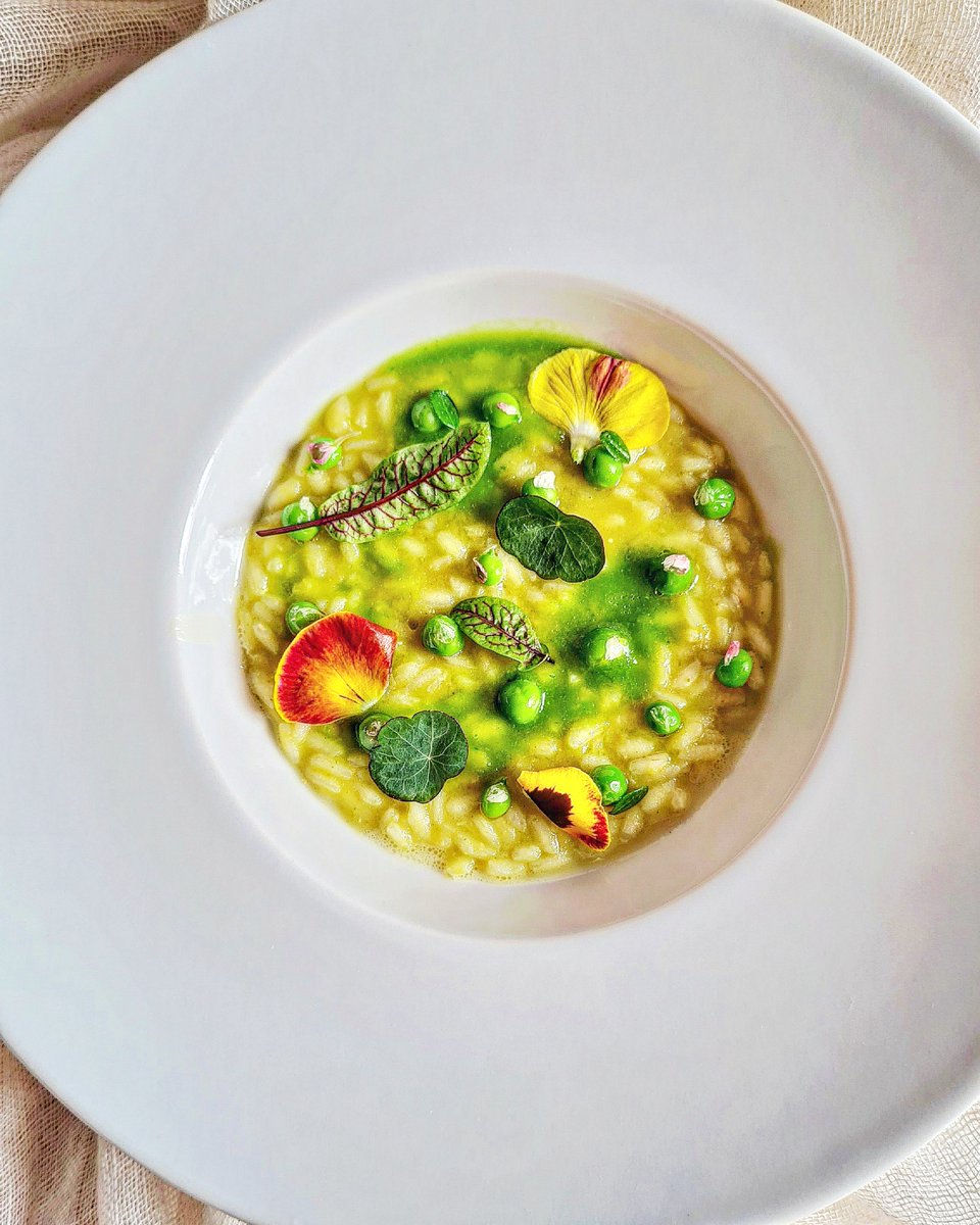 Risotto Cenerentola con bucce di piselli - ricetta antispreco by Risotti d'autore di Gabriella Pizzo Chef
incucinaconmammaagnese.com/2023/07/risott…