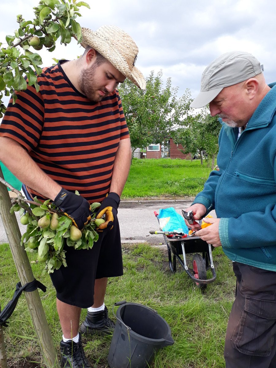 fruitnutvillage's tweet image. Working with @CETBrum today in #CastleValeAllotments. The trees here are really starting to look loved after 2 winter and 2 summer pruning visits in the last 18 months. #GrowTheVillage