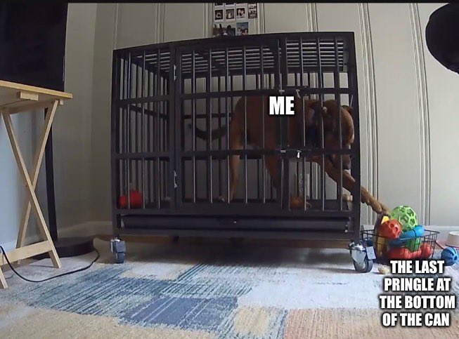 MoneyInTheTrank's tweet photo. They say a dogs personality reflects its owner, and Finley’s kennel training has been a testament to that https://t.co/pHEOSOdBYT