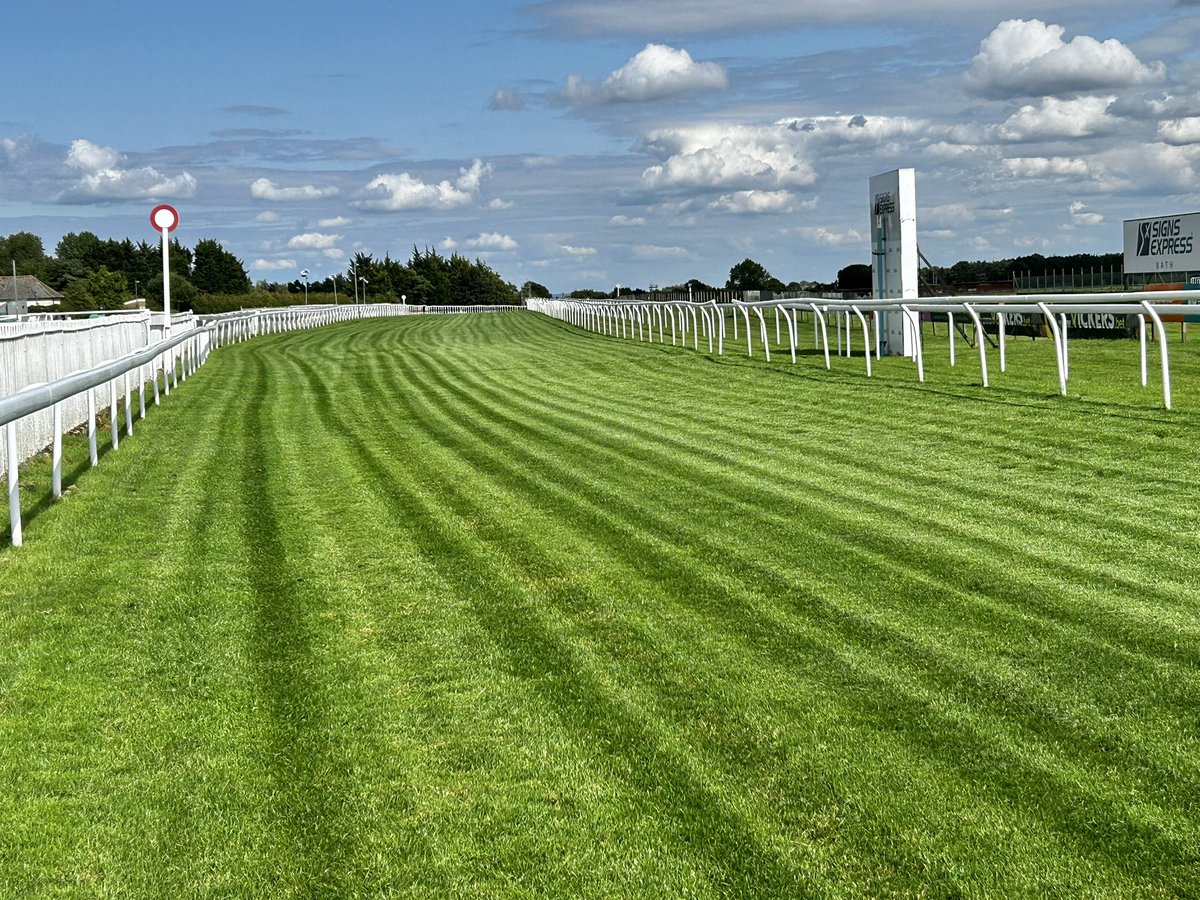 All set for tomorrow @BathRacecourse 74 runners over 7 races. Good to Soft, Good in places 🌱