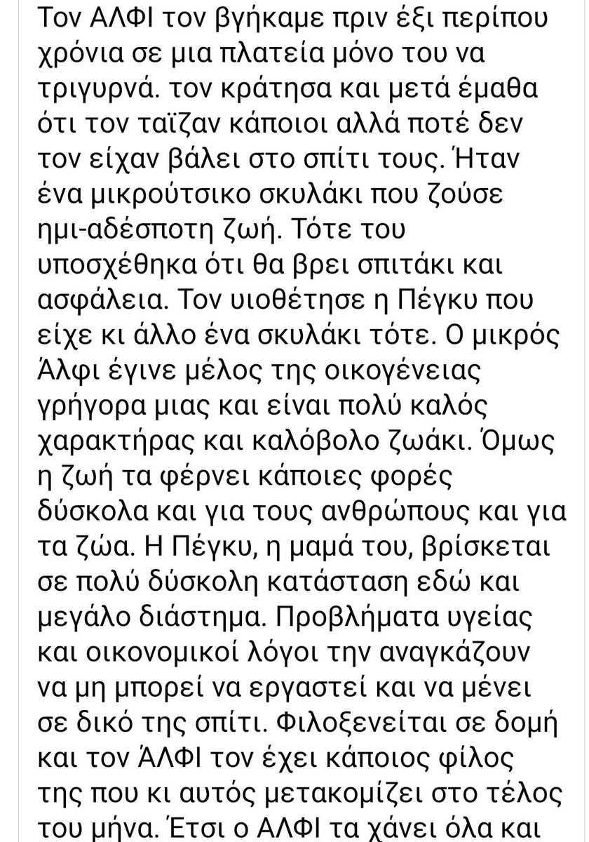 Χλε_Μπονα Σαμερ tweet media
